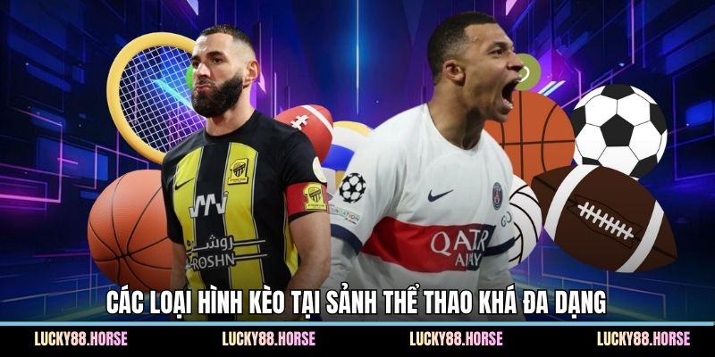 Các loại hình kèo tại sảnh thể thao khá đa dạng